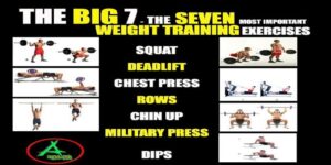 Picture describing the seven most important weight training exercises.