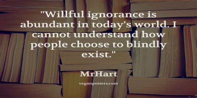 Illustration of the quote, “willful ignorance is abundant in today's world. I cannot understand how people choose to blindly exist” written in white letters on a background of books.