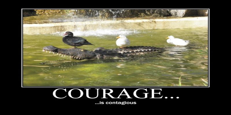 A funny, satirical image with the sentence, “courage is contagious” written underneath it.