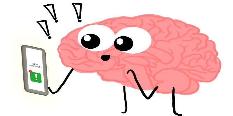 Illustration of a happy brain due to the increased dopamine due to getting a message on its phone.