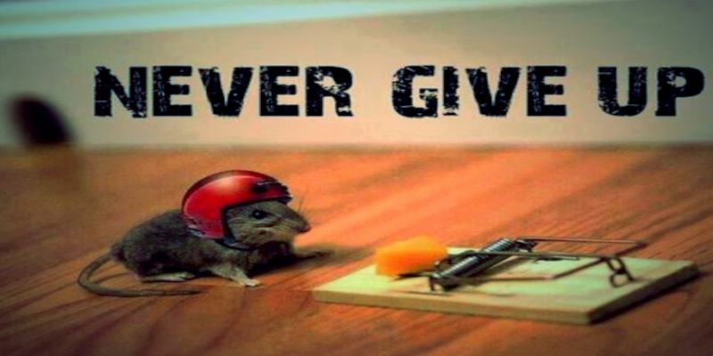 Satirical image of a mouse with a helmet on trying to get the cheese from a mousetrap.