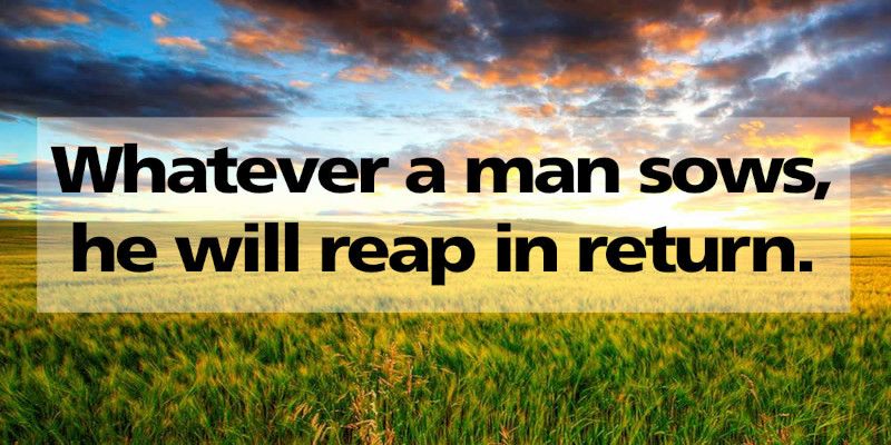 Image of the quote, “whatever a man sows, he will reap in return”.