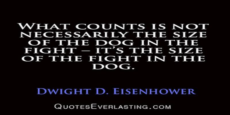 Image of the quote, “what counts is not necessarily the size of the dog in the fight, it's the size of the fight in the dog”.