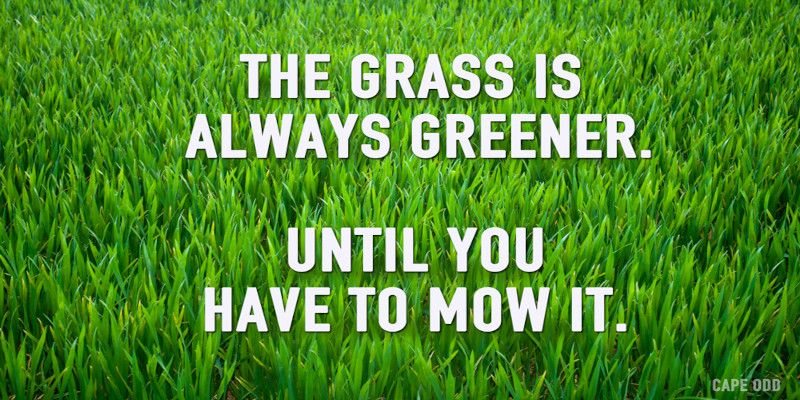 The quote, “the grass is always greener, until you have to mow it” written in white letters, with green as the background