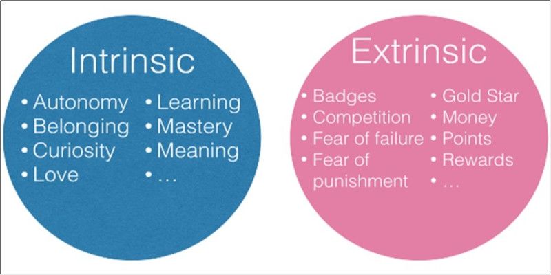 Illustration depicting the differences between intrinsic, and extrinsic motivation.