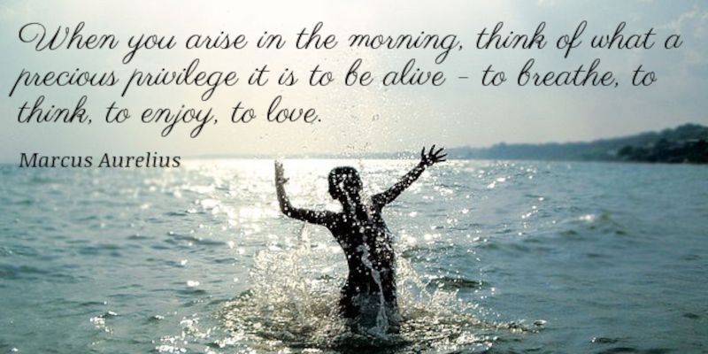 The quote, “when you arise in the morning, think of what precious privilege it is to be alive, to breathe, to think, to enjoy, to love.” By Marcus Aurelius.