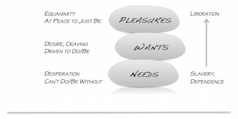 Illustration showing the differences between pleasures, wants, and needs.