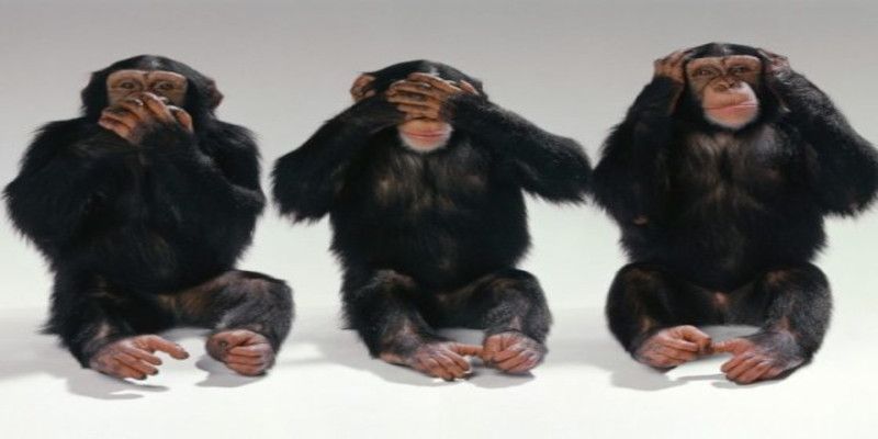 Image of three monkeys with the left one covering his mouth, the middle one covering his eyes, and the right one covering his ears indicating willful blindness.