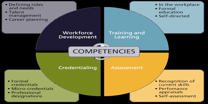 Illustration depicting the various professional competencies.