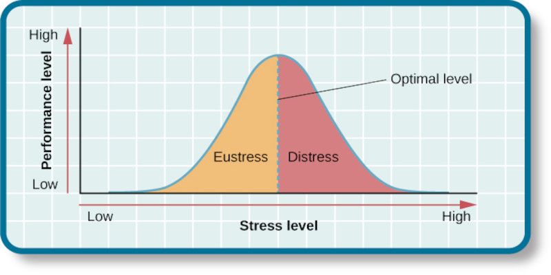 A graph showing how stress and performance are related and influenced by one another.