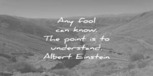 The quote, “any fool can know. The point is to understand.” Written in white letters on a gray background. A quote by Albert Einstein.